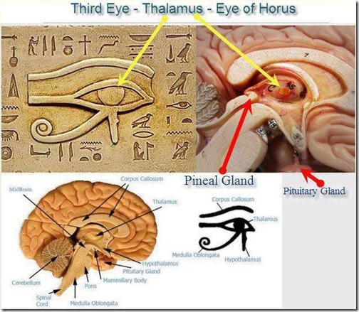 Horus øye