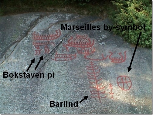 Solbergfeltet pi og barlind