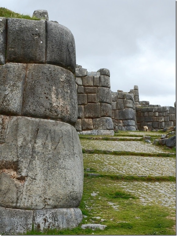 Cusco-murene