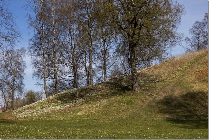 Vestskråningen av Raknehaugen